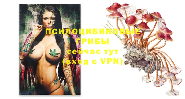 ECSTASY Алексин