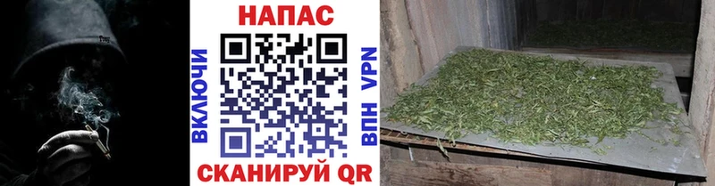 Шишки марихуана индика  blacksprut ссылки  Углич  где найти наркотики 